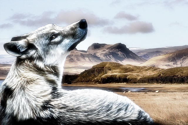 언스플래쉬 무료 이미지