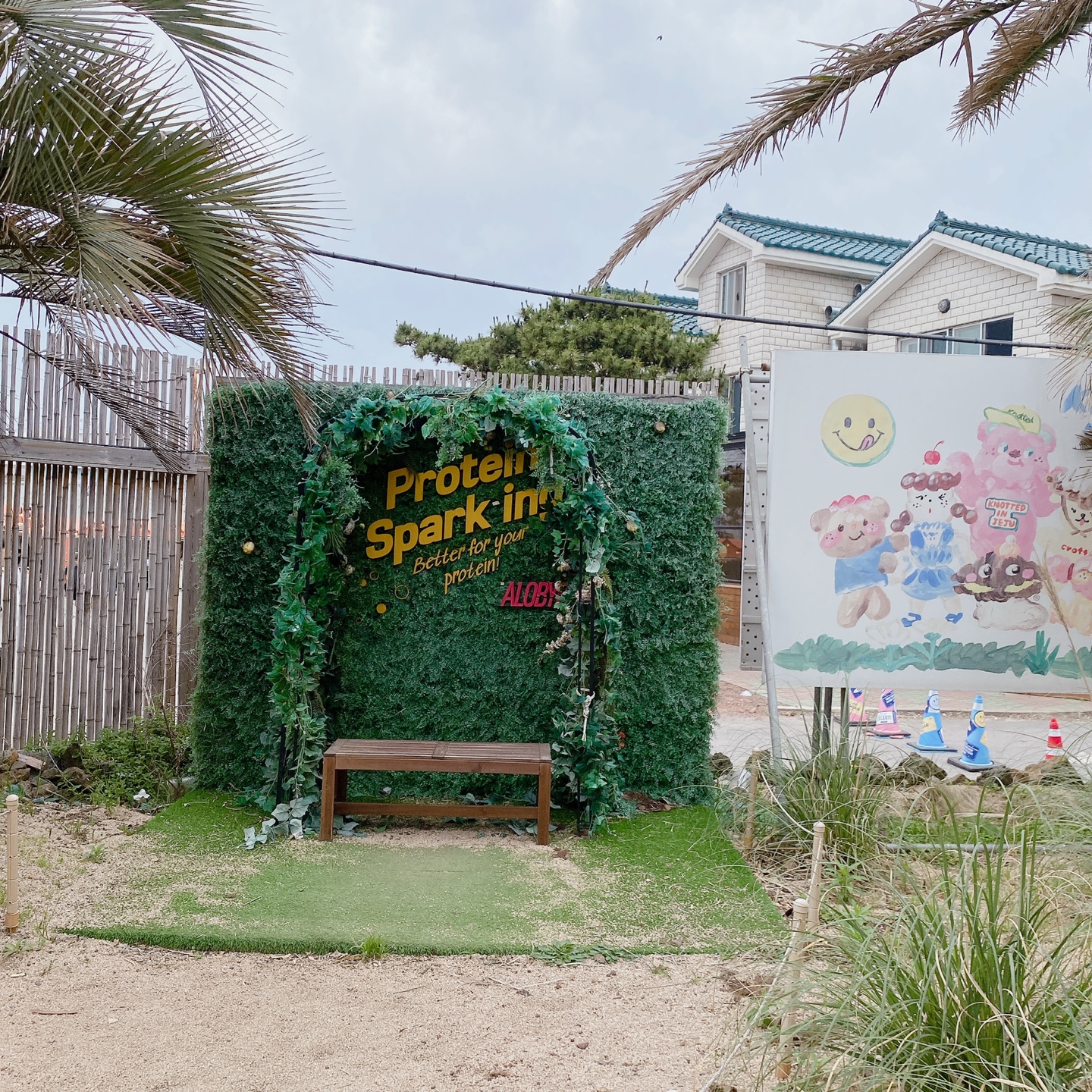 노티드 도넛 제주 애월 핫플레이스 우유크림 도넛 Knotted JEJU