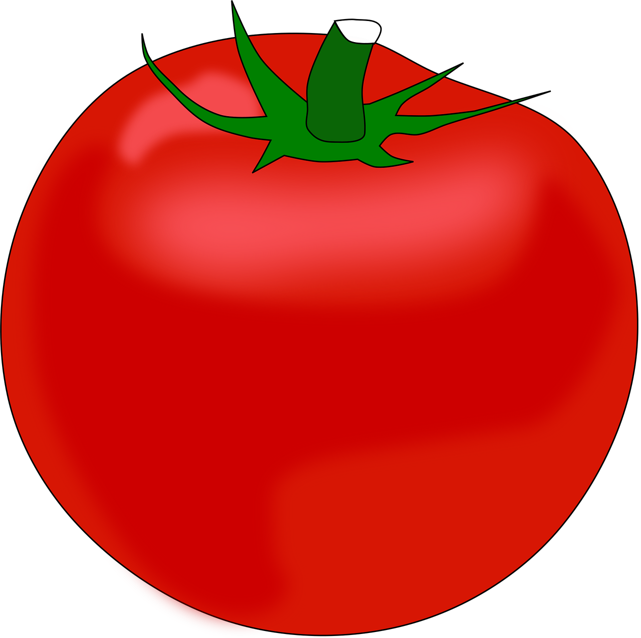 토마토 효능과 라이코펜 성분 분석