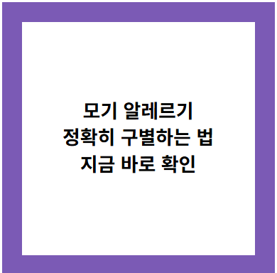 모기 알레르기 정확히 구별하는 법 지금 바로 확인