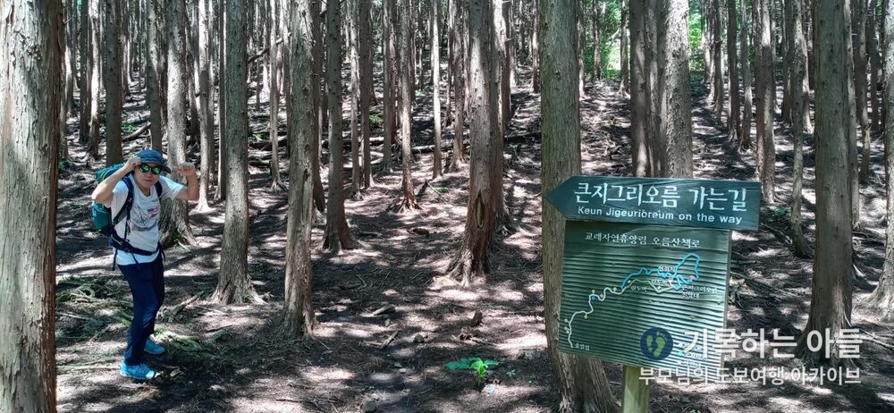 큰지그리오름 편백나무숲 가는길 표지판