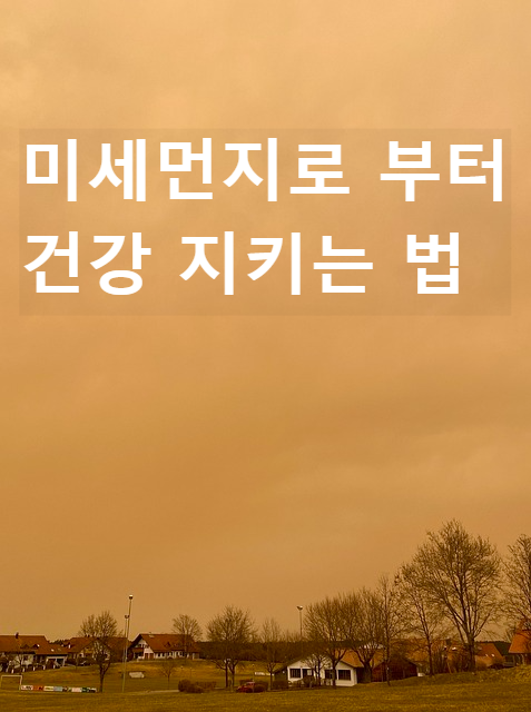미세먼지