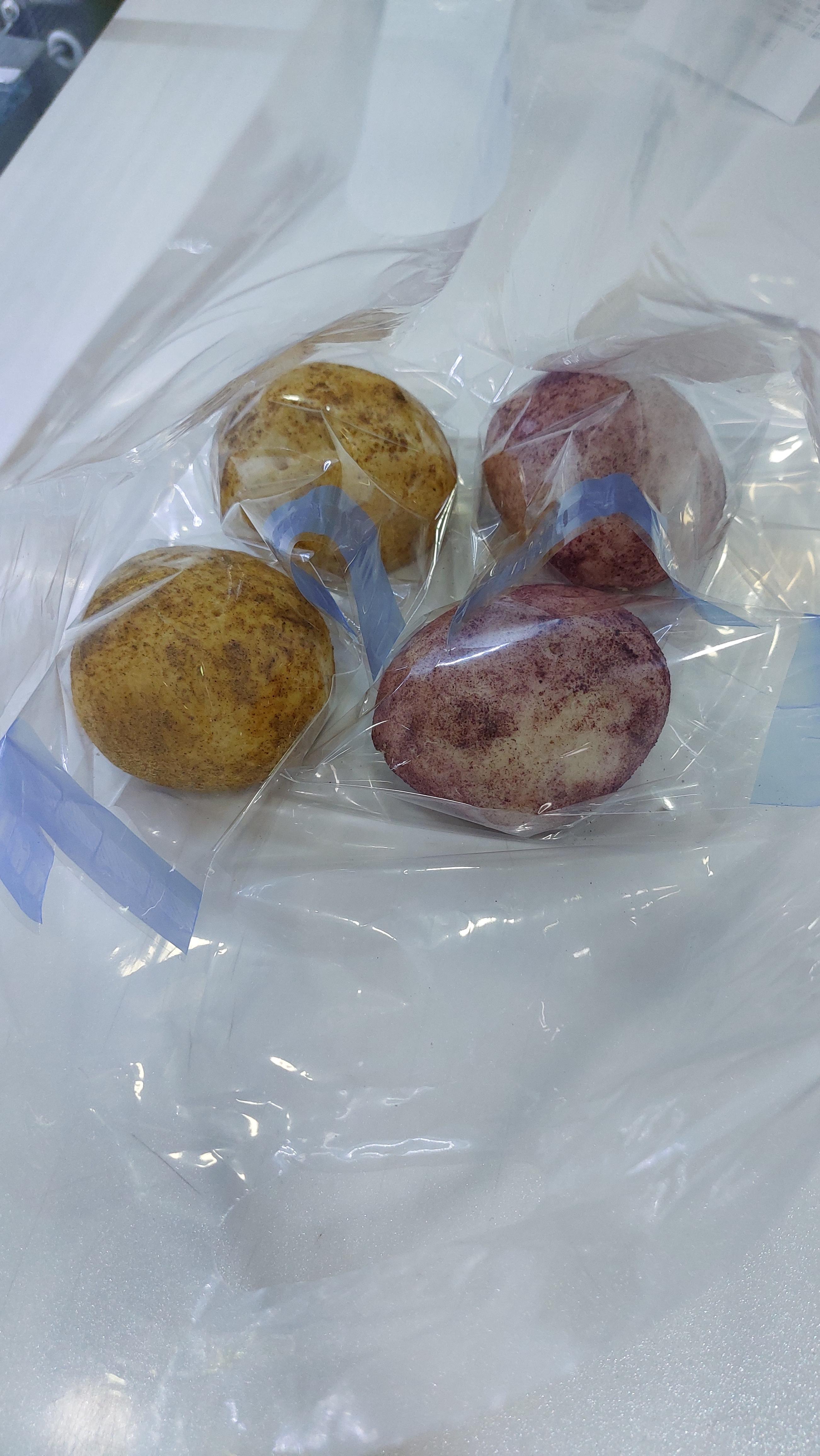 정선 상상초콜릿에서 판매하는 감자빵 총4개 따뜻하다