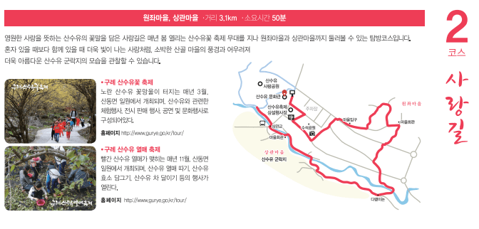 2025 구례 산수유축제 일정·개화시기 총정리