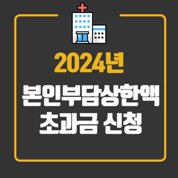 2024 본인부담상한액 초과금 신청