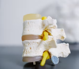 칼슘 하루 권장량 성인 1일 섭취방법