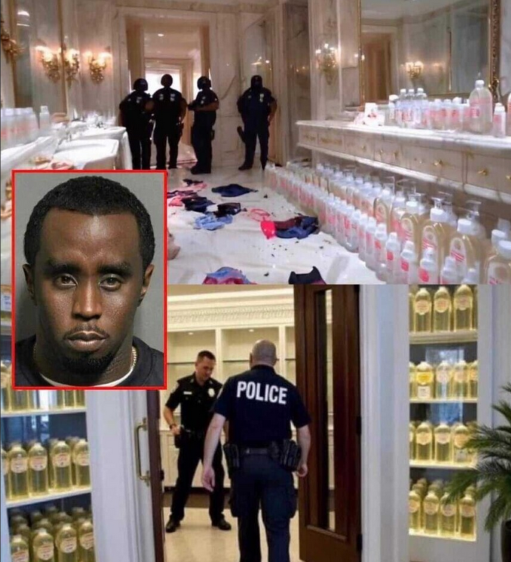 퍼프대디 디디게이트 사건