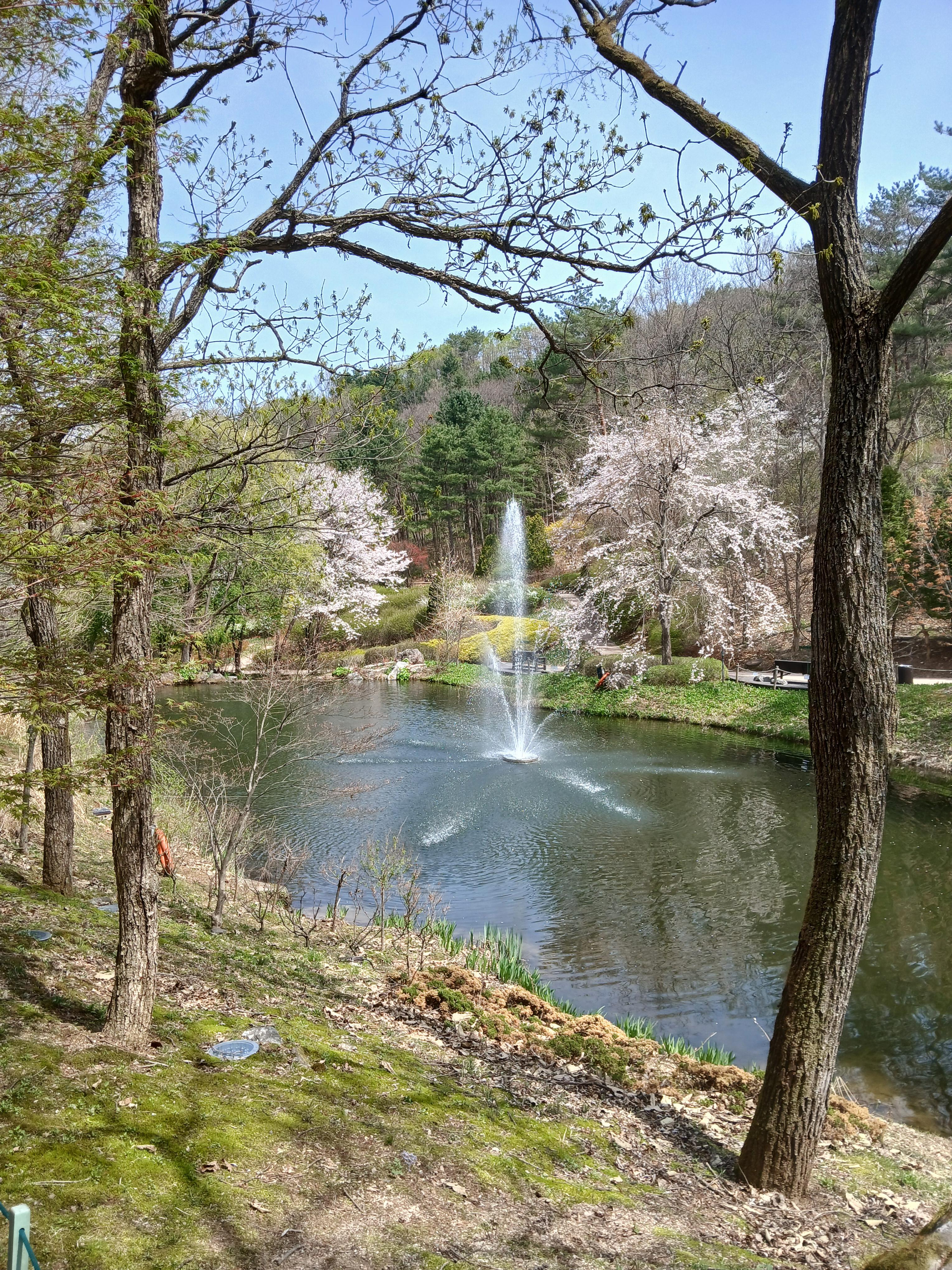 시야기 시원하게 열리는 분수
