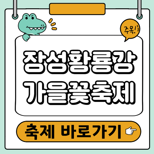 장성황룡강 가을꽃축제