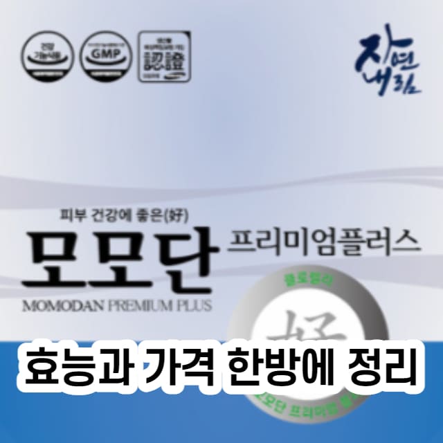 모모단 썸네일