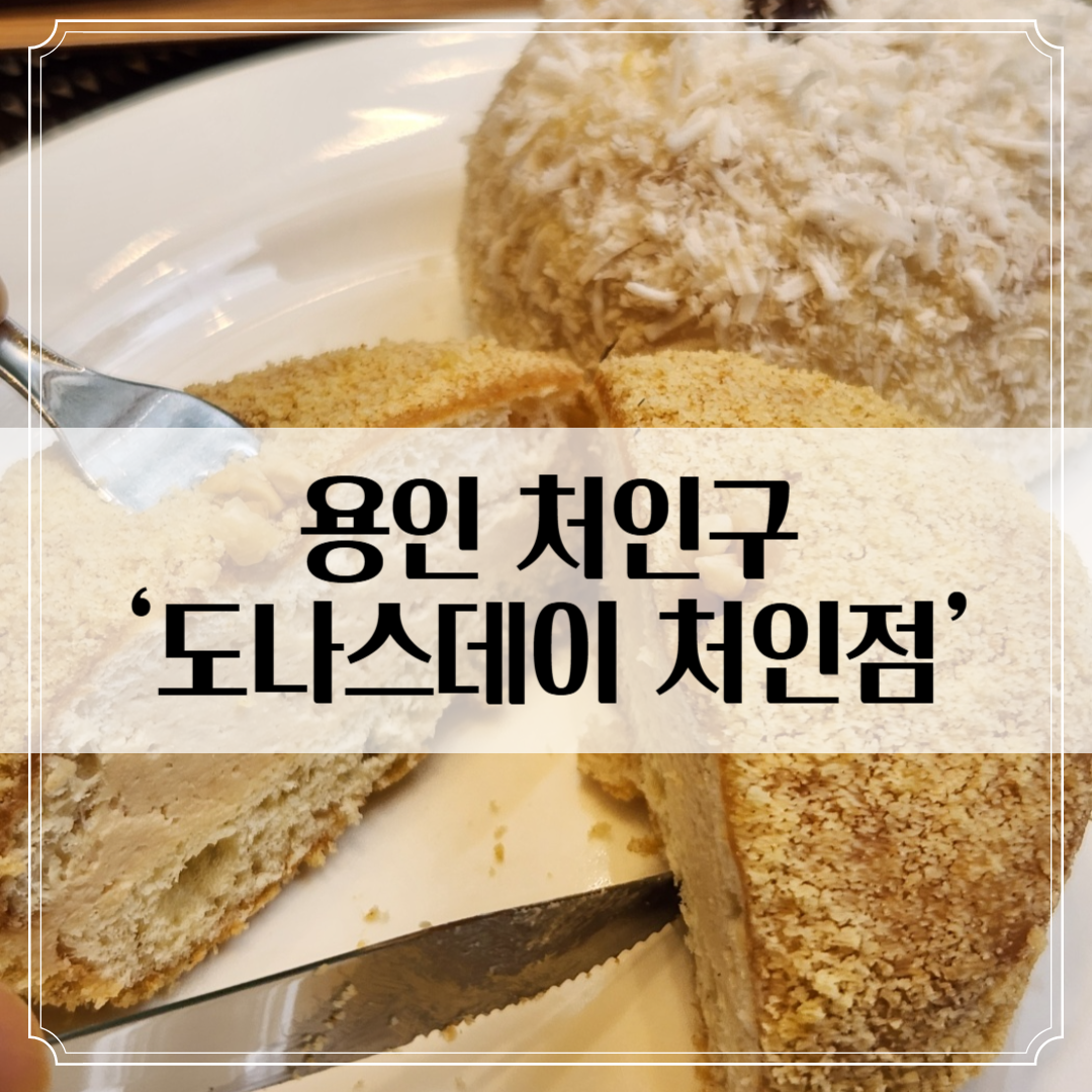 용인 '도나스데이 처인점' 후기: 카페 인테리어부터 도넛 맛까지