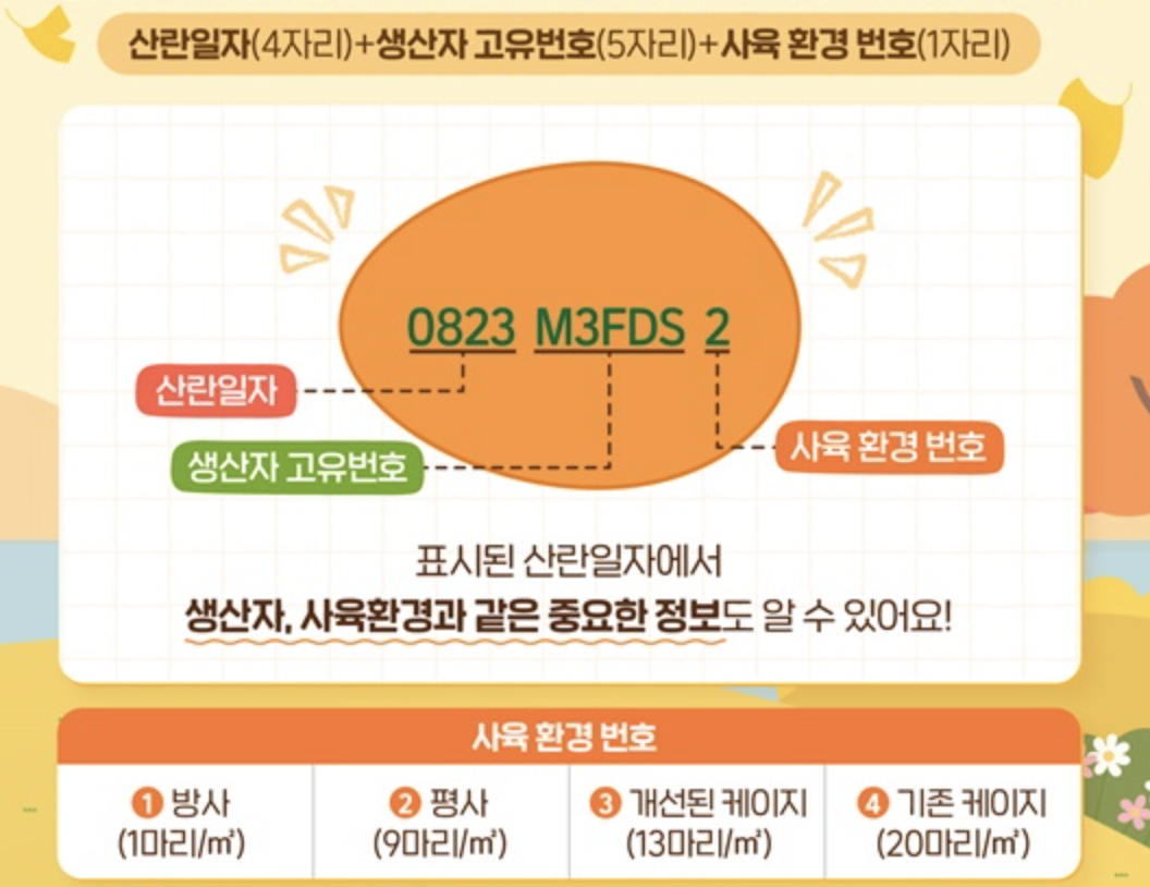 달걀-코드-의미