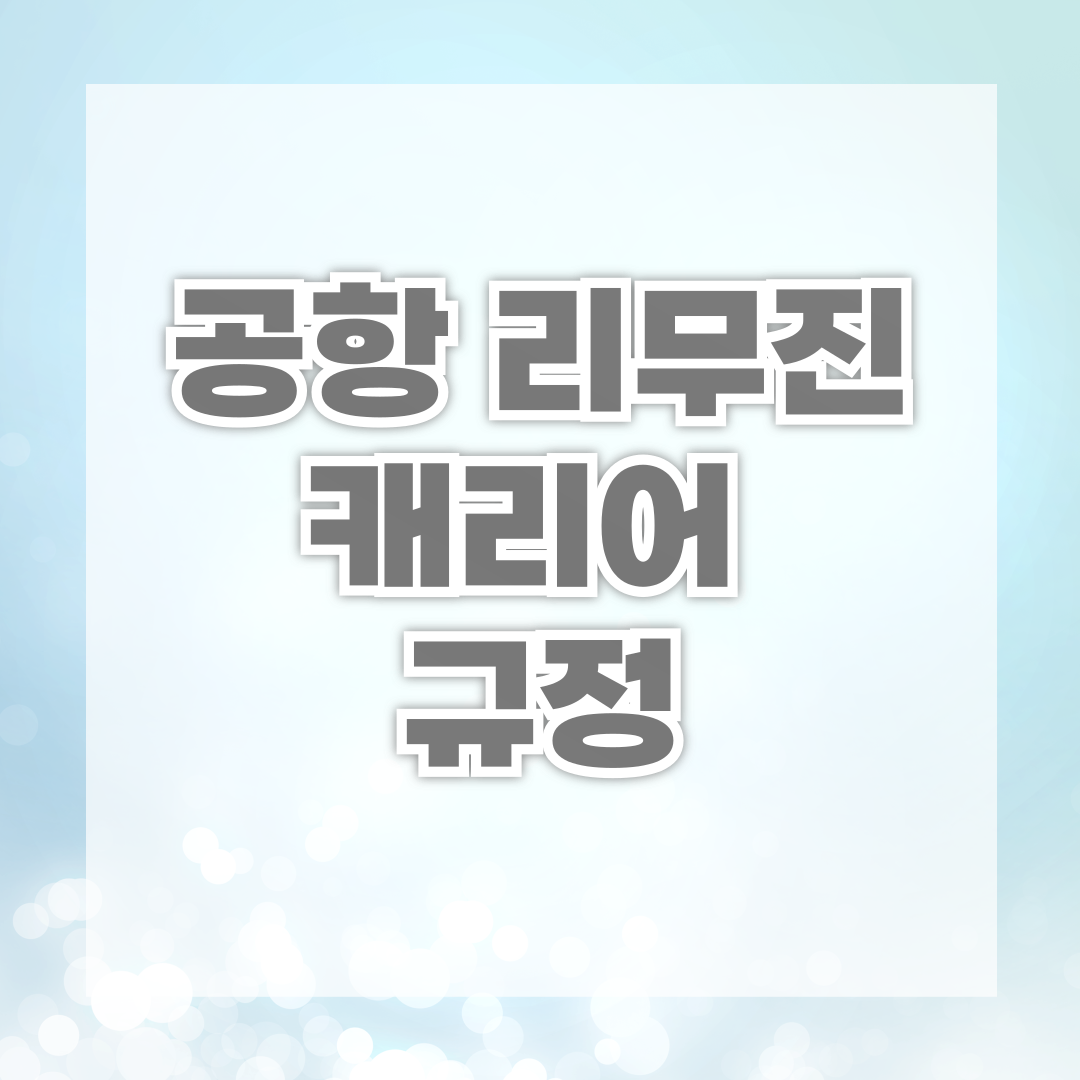 공항 리무진 캐리어 규정