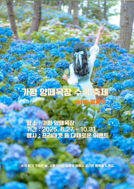 가평 양떼목장 수국축제