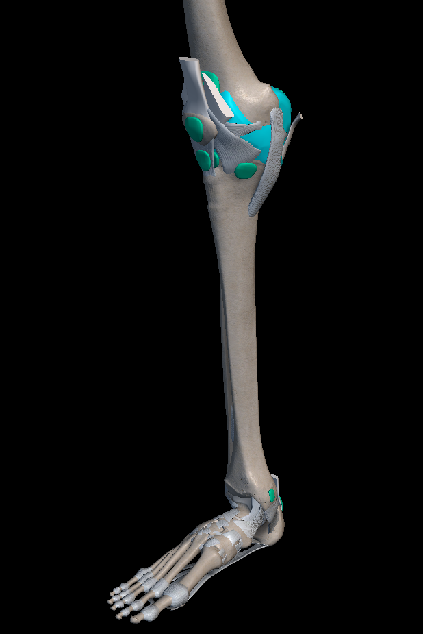 무릎 인대 파열 증상 치료법 총정리