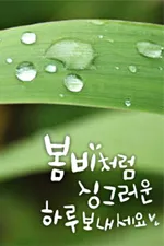 봄비 인사말 이미지 비오는날 일러스트_6