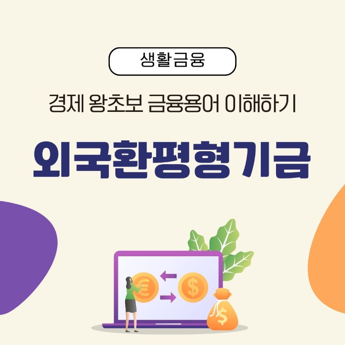 금융시장/이해하기/외국환평형기금