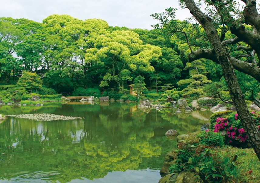 오사카 주유패스