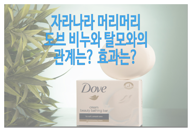도브 비누와 탈모에 관한 글 보러 가기 링크 사진