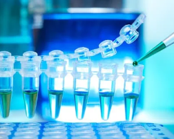 요즘 A형 vs B형 독감 증상 차이