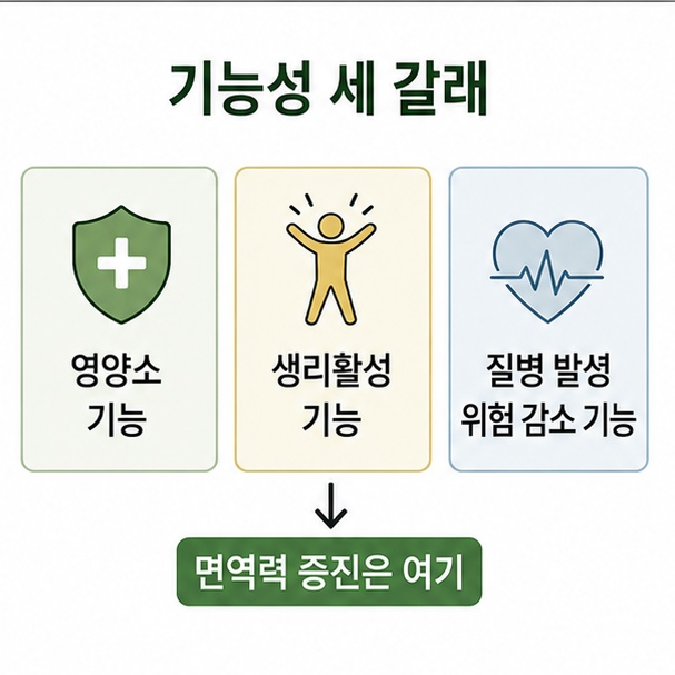 건강기능식품 기능성 세 갈래 도해, 영양소 기능과 생리활성 기능, 질병 발생 위험 감소 기능을 나눈 그림