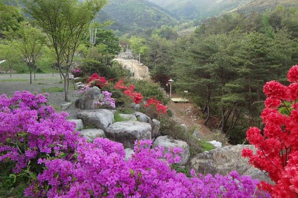 호반캠핑장_전경