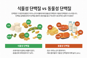 헬스 단백질