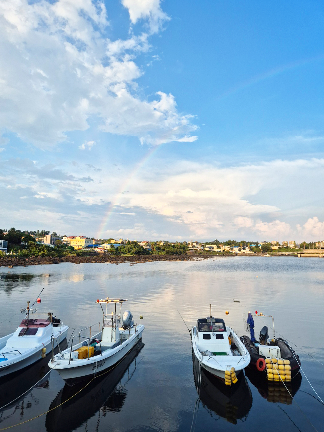 제주도 서귀포시 위미항 무지개