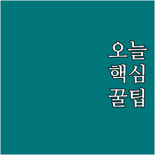 성북구 대형폐기물 100만원 벌금 피..