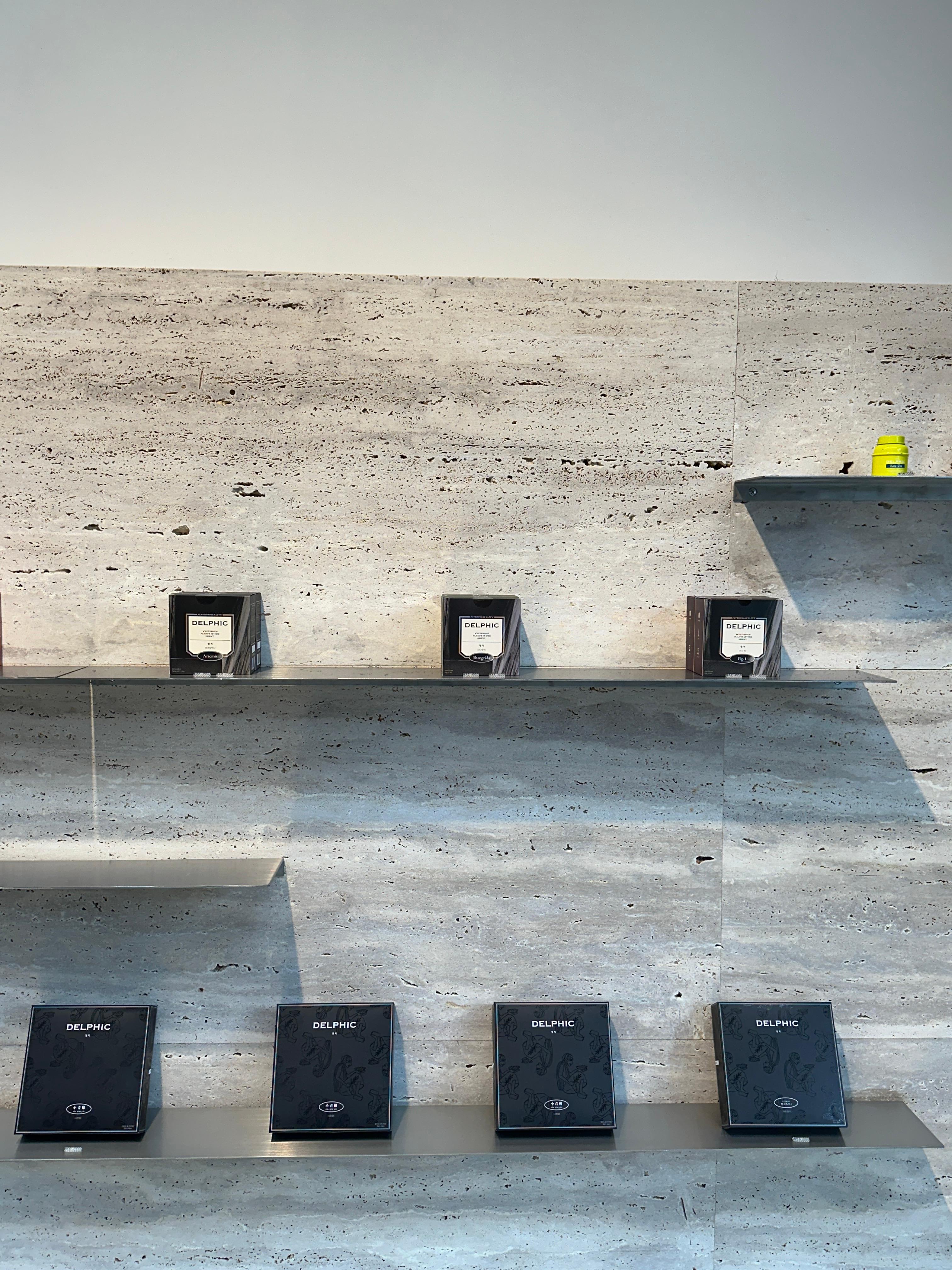 델픽 프리미엄 티2