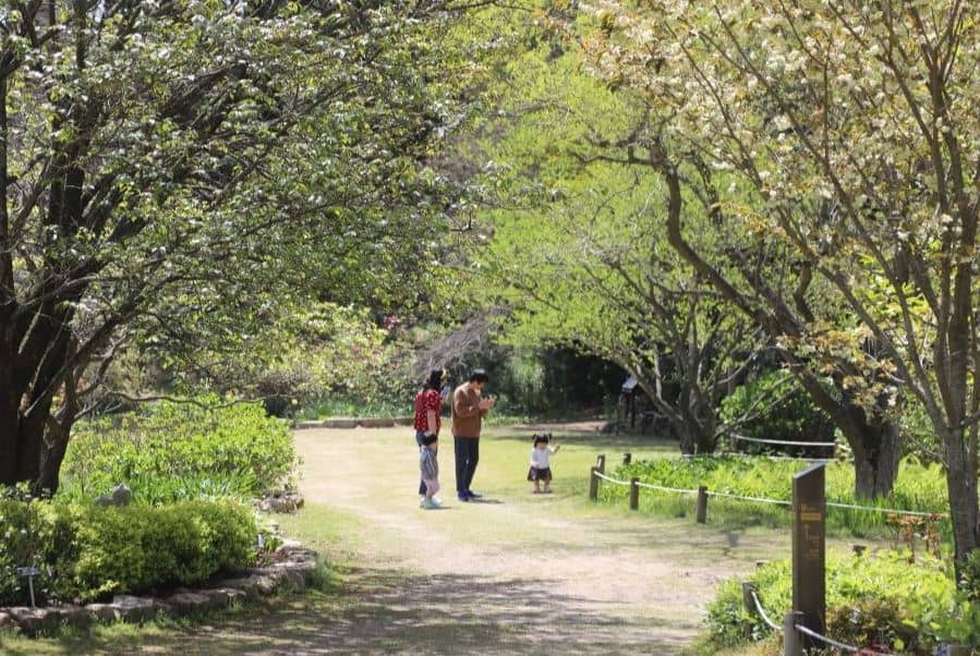 천리포 수목원 봄축제