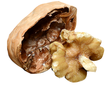 무릎 연골 염증