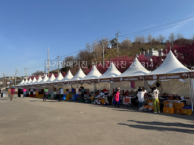 2025 광양매화축제 일정 실시간 개화 주차장