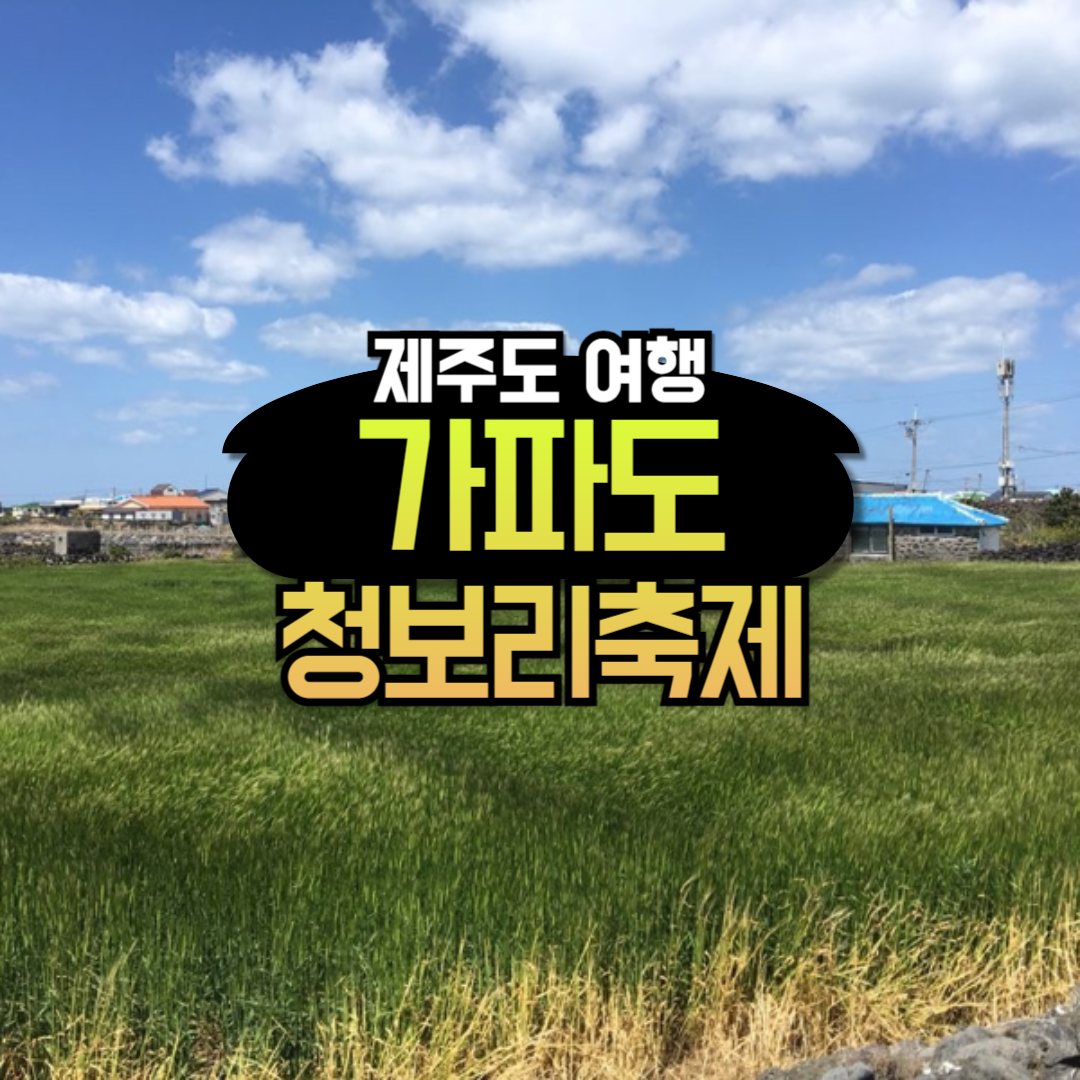 제주 서귀포 가파도 청보리 축제 올레길 추천