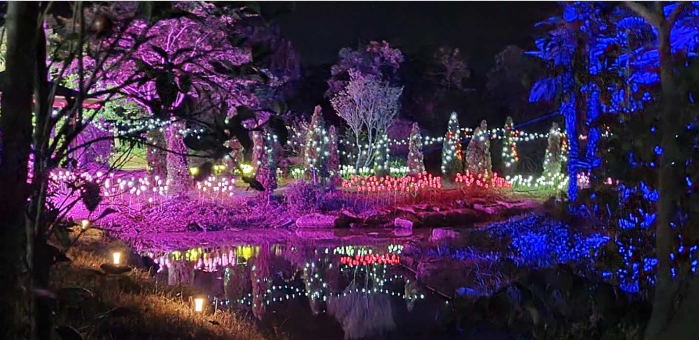 장흥-정남진수목원