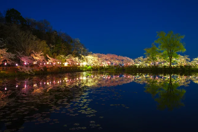 ์ผ๋ณธ ๋ฒ๊ฝ ๋ช
์