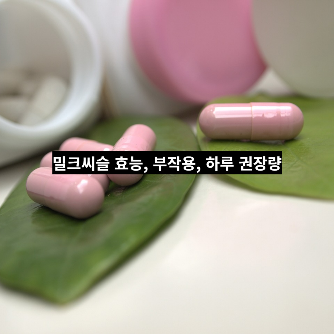 섬네일