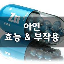 아연 흡수율과 흡수 방해 요소