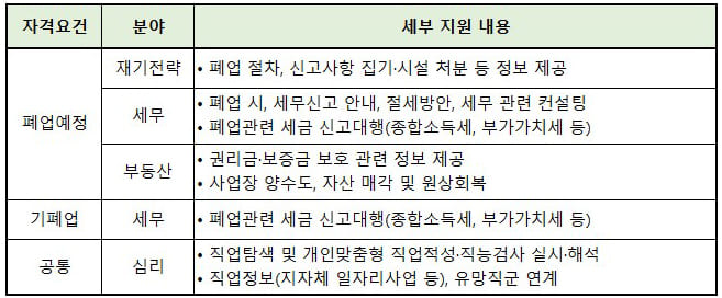 사업정리 컨설팅 지원내용