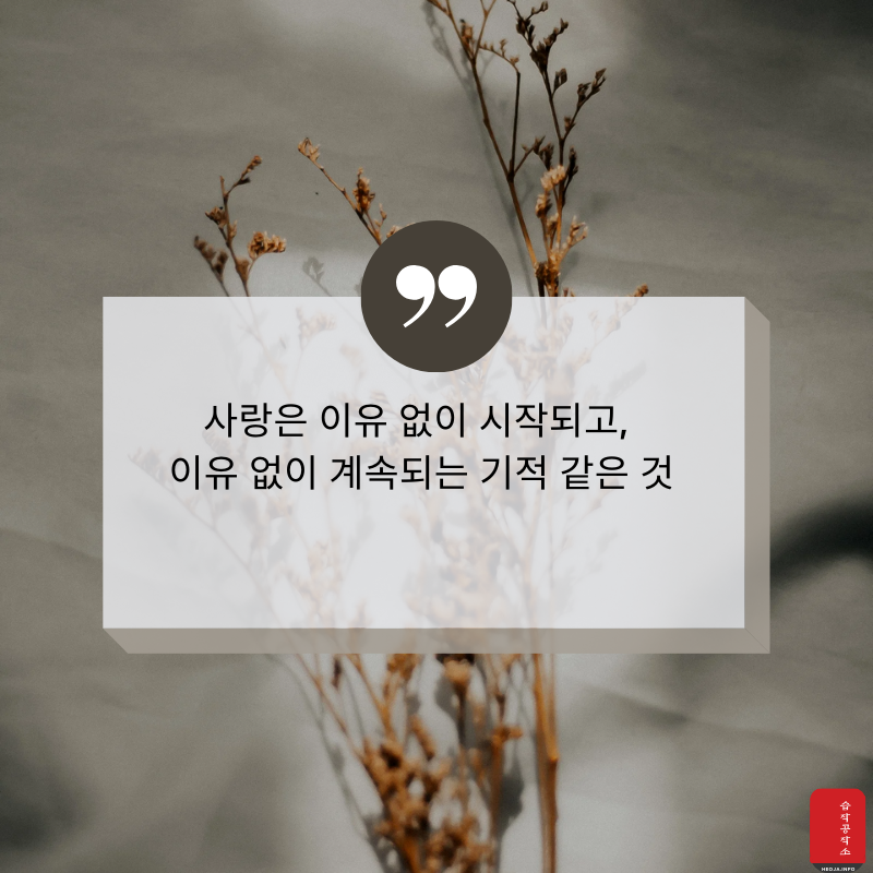 사랑 글귀 좋은 글 사랑의 글 모음 이미지