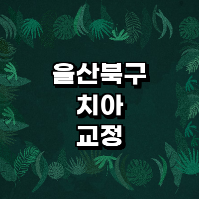 울산 북구 교정 치과