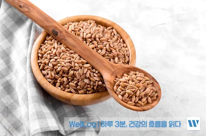 파로 효소 효능&amp;#44; 먹는 법