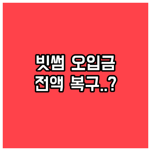빗썸 시스템 오류로 인한 자산 오입금..
