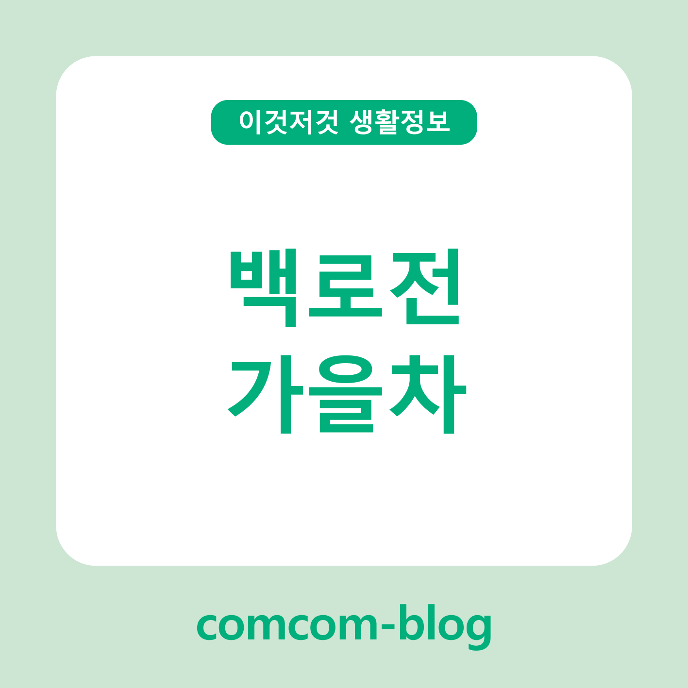 🍂 백로(白露) 절기에 즐기는 가을차, 깊어가는 계절의 여유