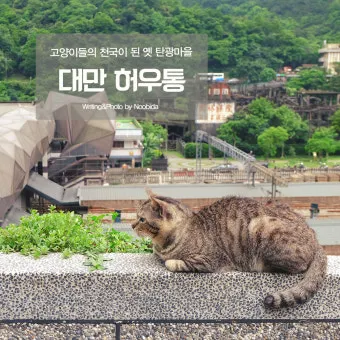 대만 고양이 마을 여행, 소개_30