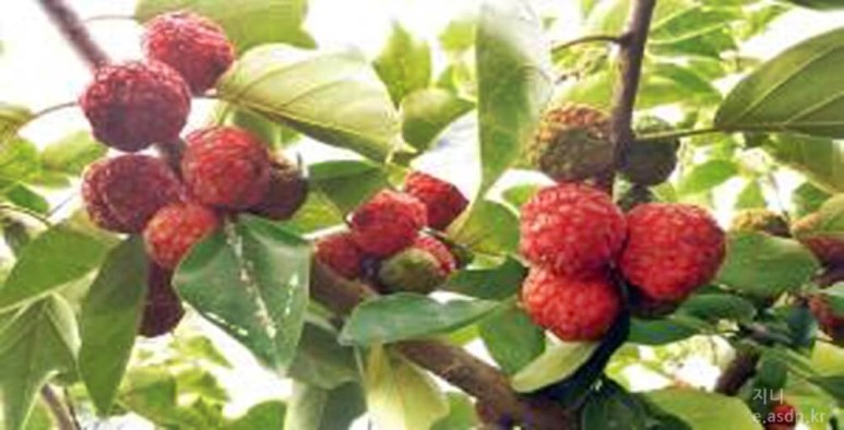 data-ke-mobilestyle=