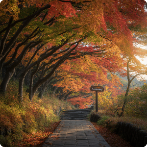 2025년 단풍 절정 시기 - 부산&middot;제주권 단풍 명소 가상 이미지