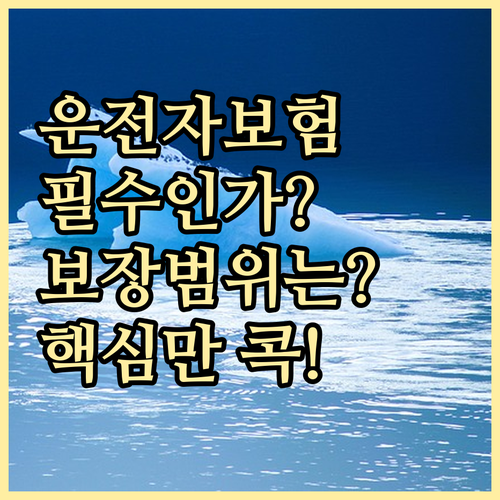 운전자보험 Q&A: 가입 의무부터 보..