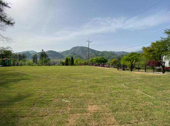 경기-가평-펫밀리-애견파크타운-사진-입니다.