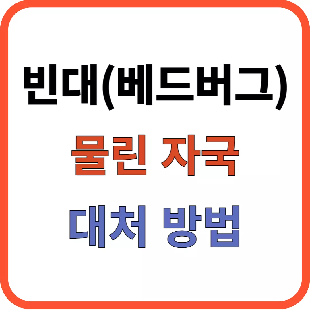 빈대 물린자국